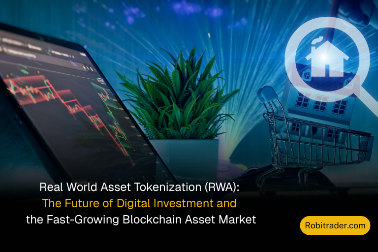Real World Asset Tokenization (RWA): The Future of Digital Investment and the Fast-Growing Blockchain Asset Market